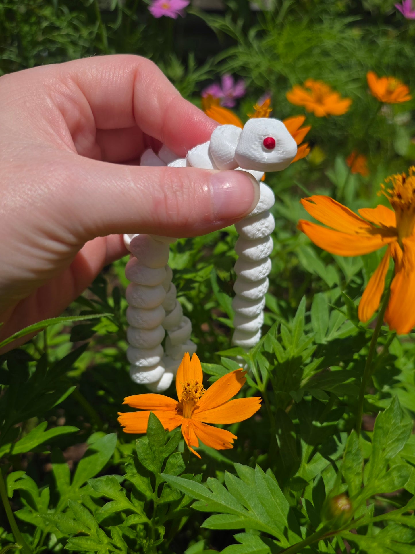 Baby Snake