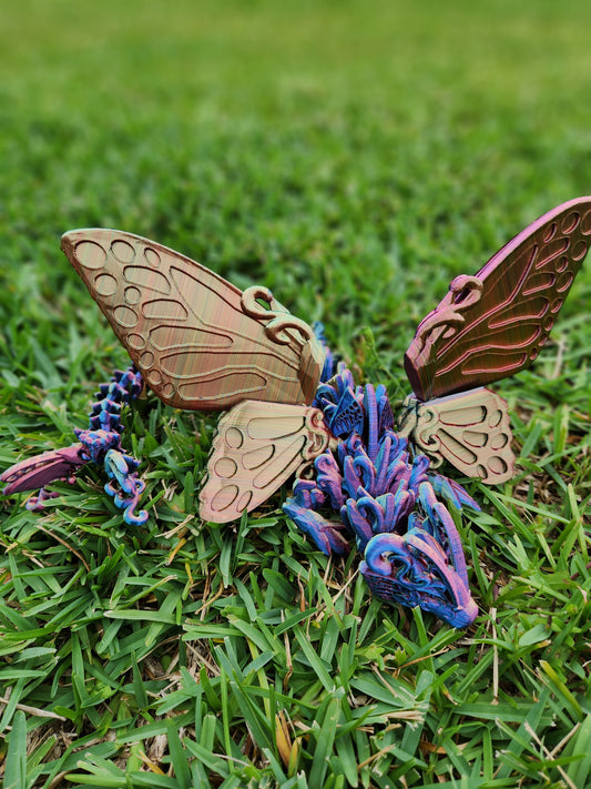 Butterfly Dragon