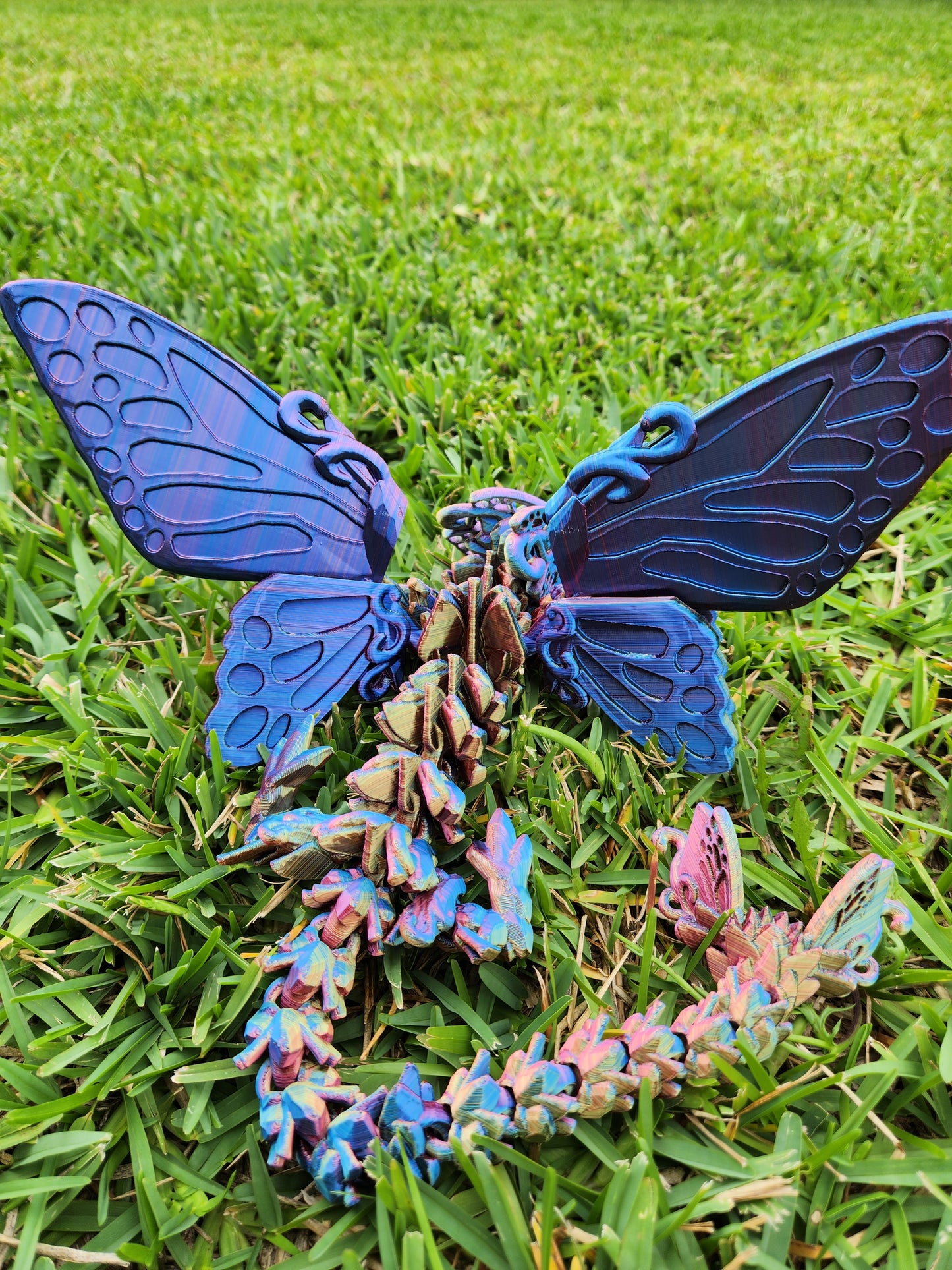 Butterfly Dragon