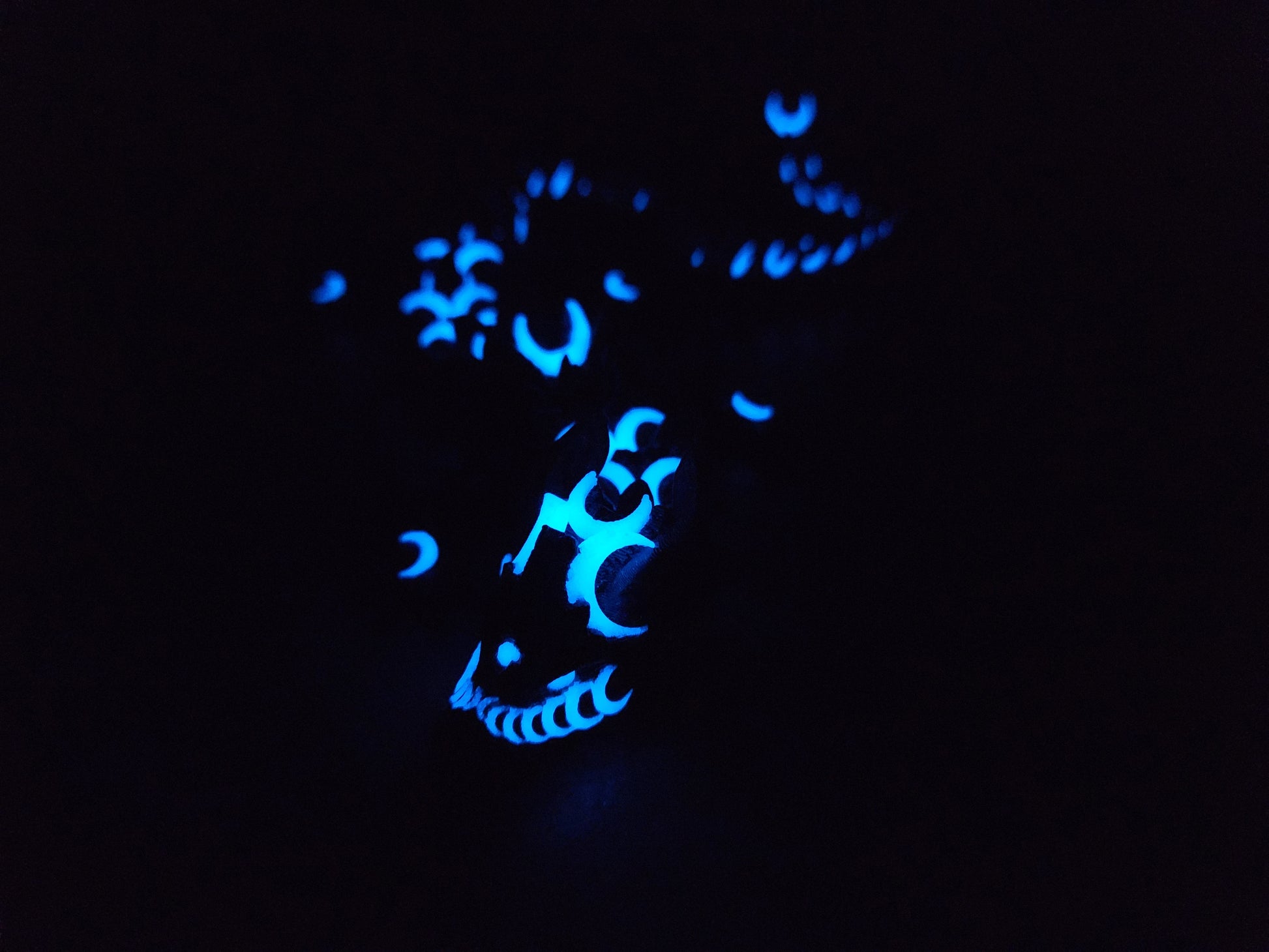 Nyx (Black Dragon) has glow in the dark blue accents. 