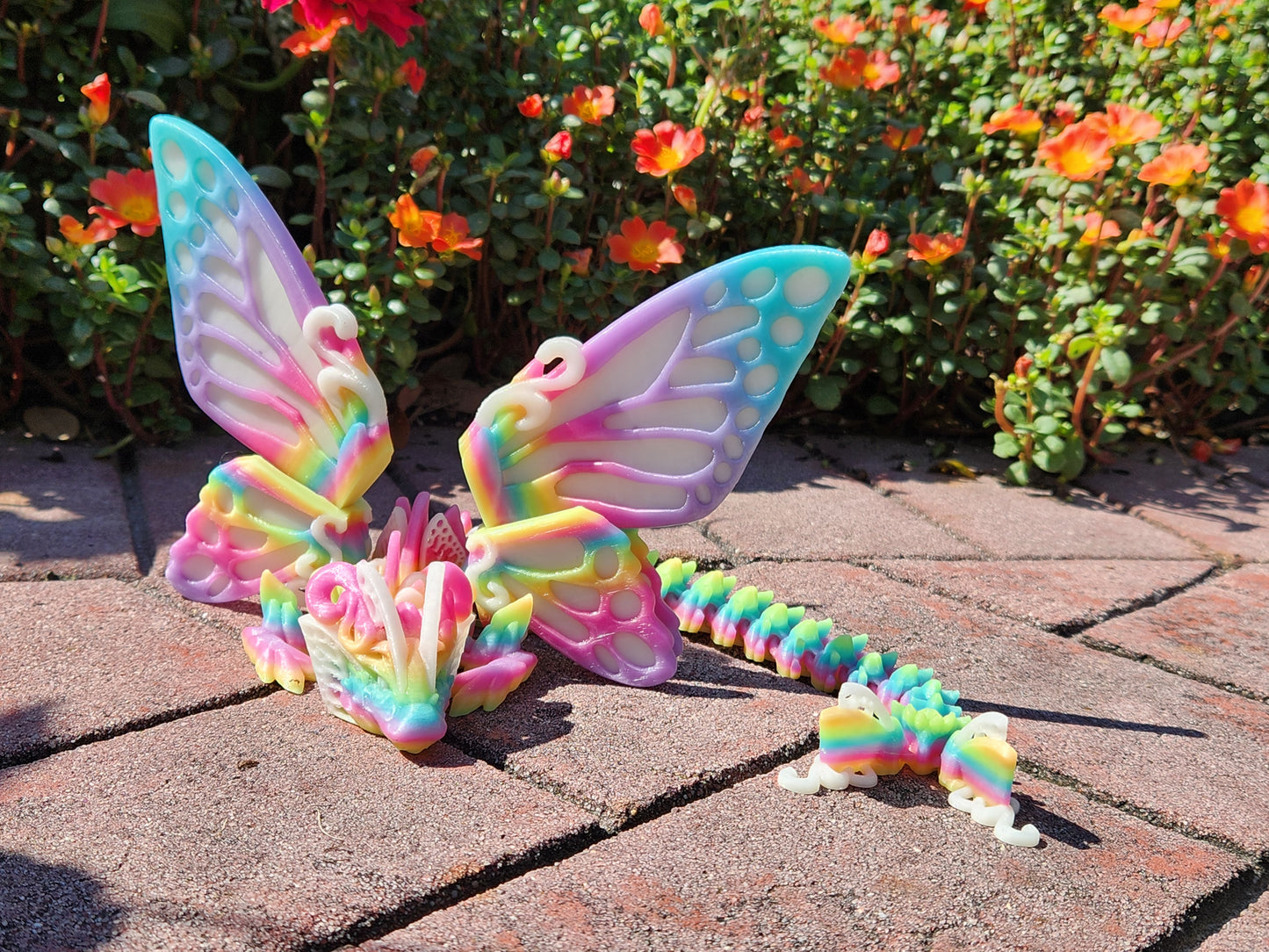 Butterfly Dragon