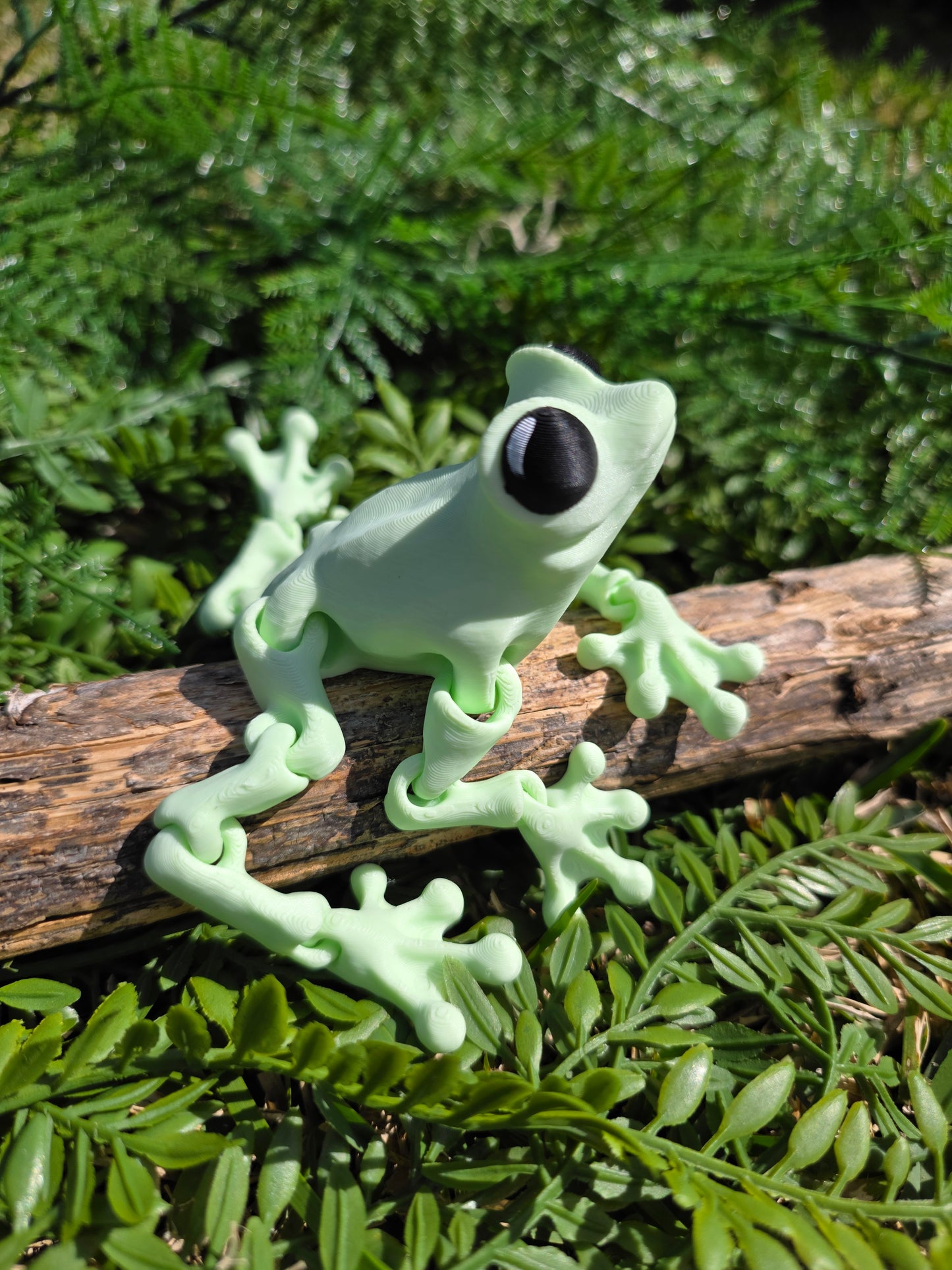 Frogs