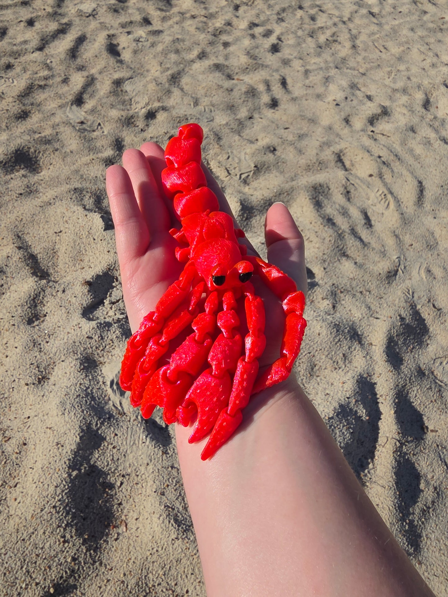 Herbie the Hermit Crab