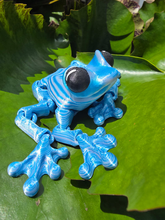 Funky Frogs