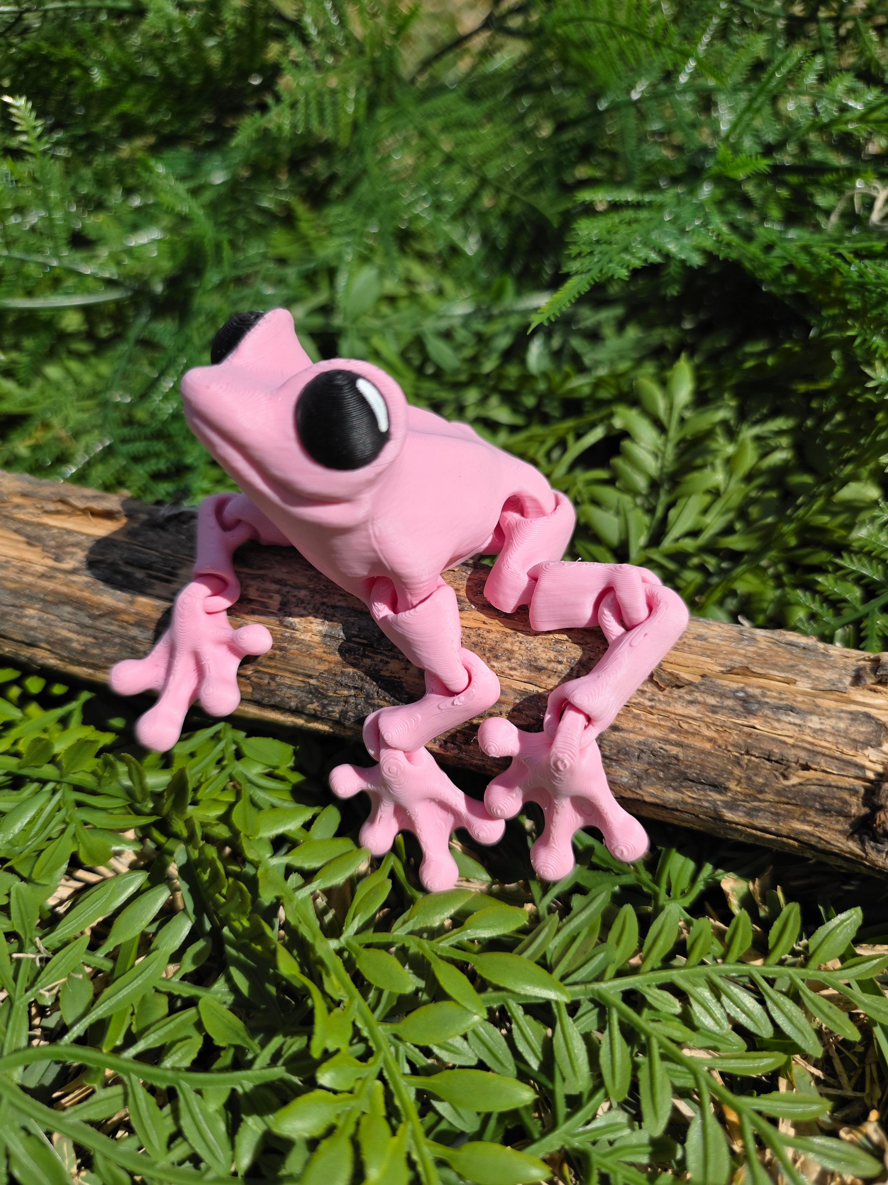 Frogs – Altered Matter