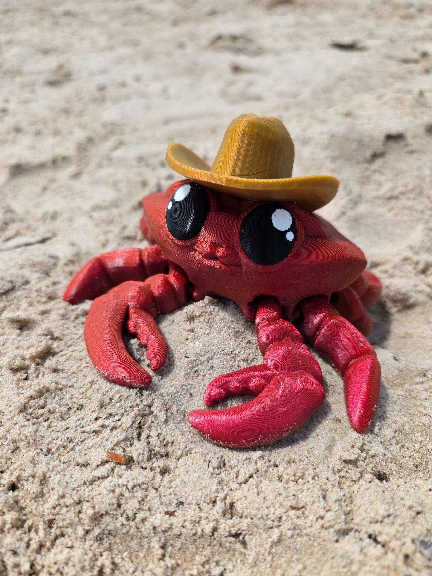 Clancy the Cowboy Crab