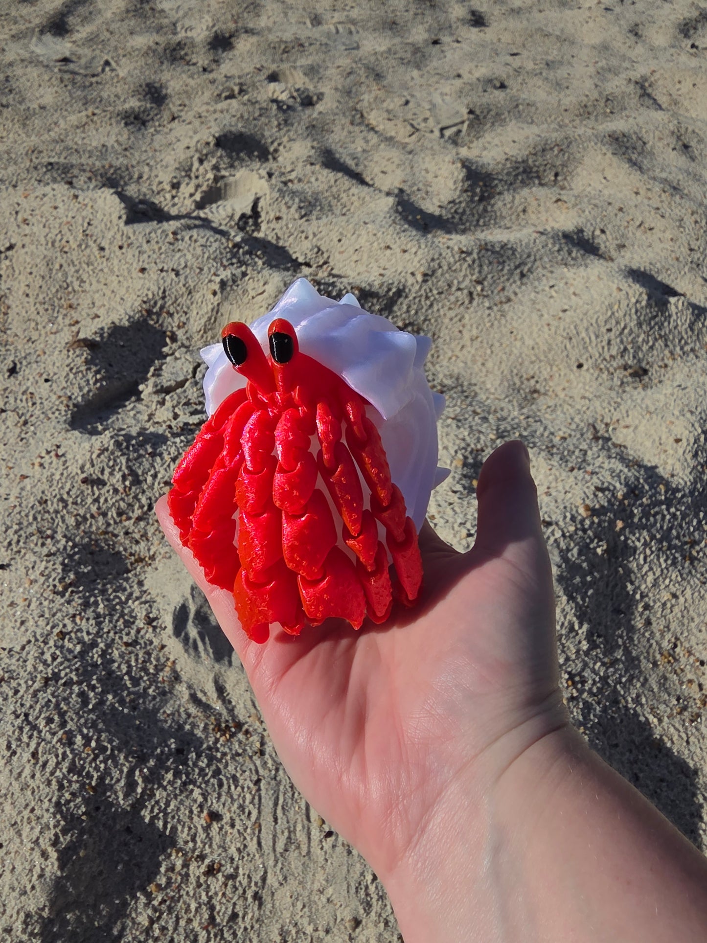 Herbie the Hermit Crab
