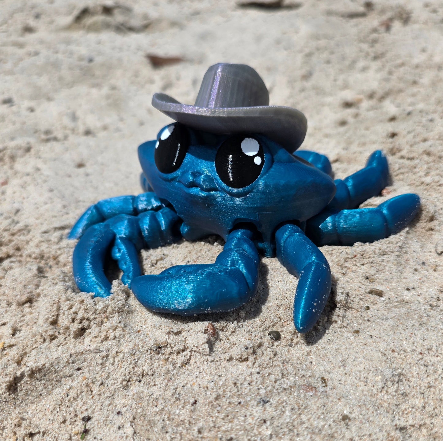 Clancy the Cowboy Crab