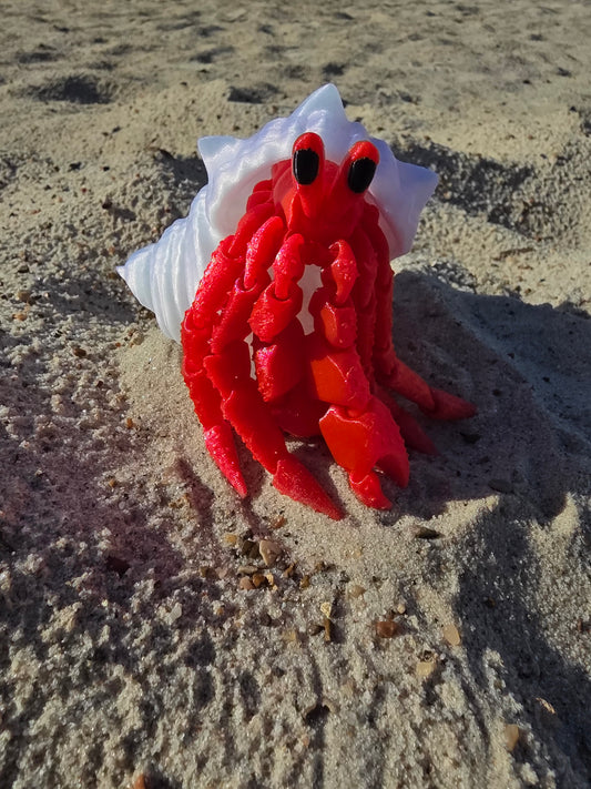 Herbie the Hermit Crab