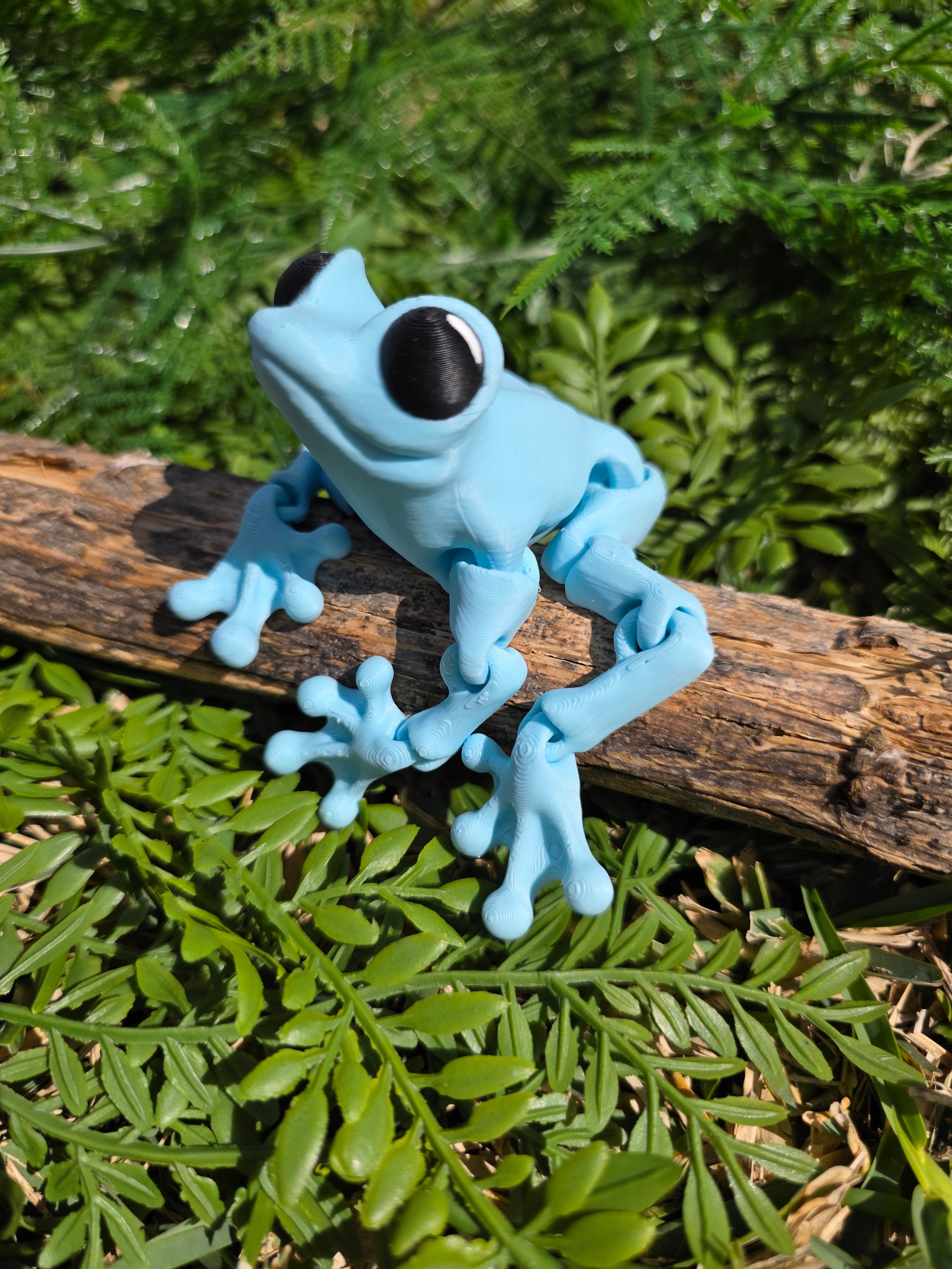 Frogs – Altered Matter